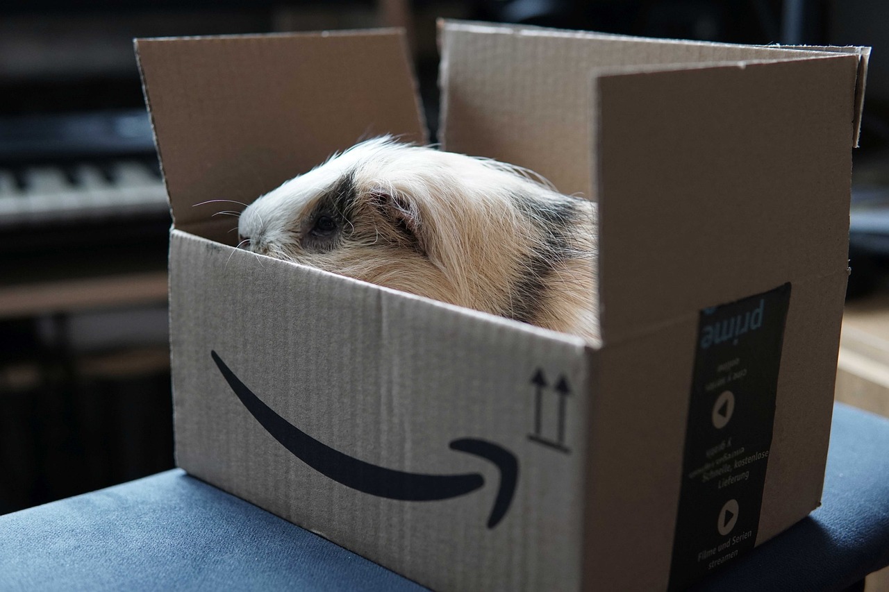 Amazon Prime