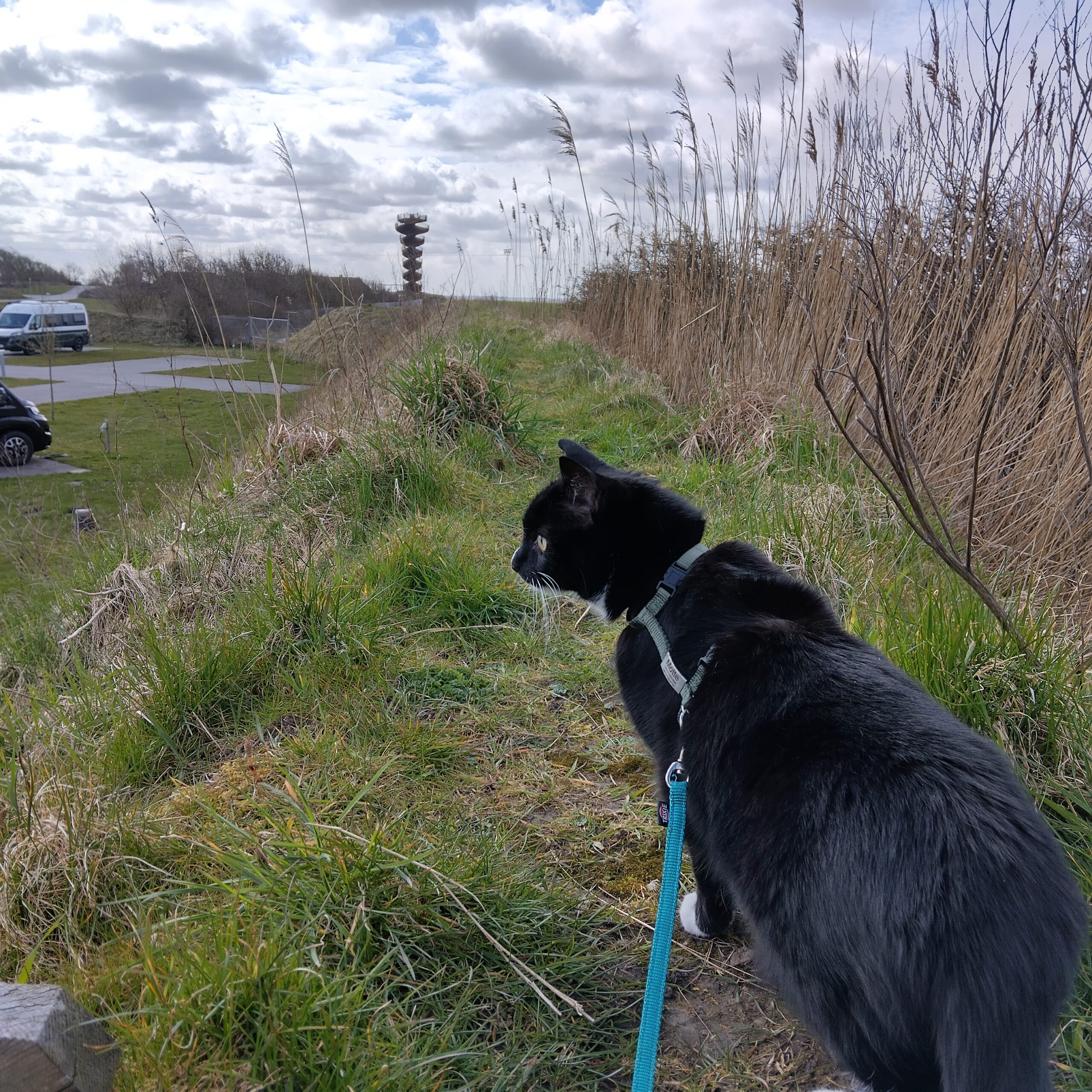 1. Quartal 2026 – Rückblick und Ausblick 2. Quartal